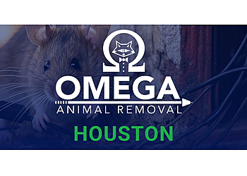 Houston Animal Removal Omega Animal Removal