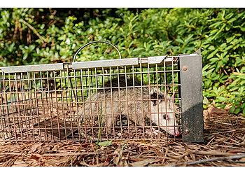 Omega Animal Removal Houston Animal Removal image 1
