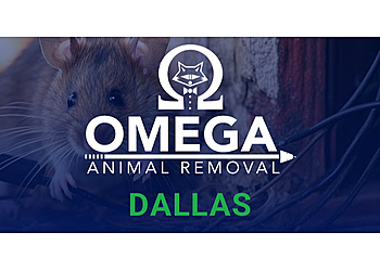 Omega Animal Removal Dallas Dallas Animal Removal image 1
