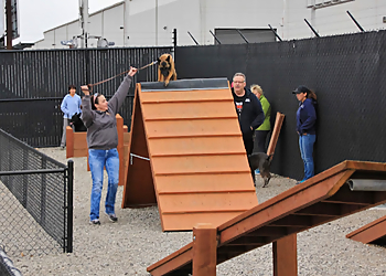 On Command 2 - Reno, NV Dog Training - Service Image