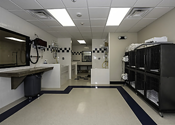 On Command 2 On Command 2 - Reno, NV Dog Training - Business Interior Image