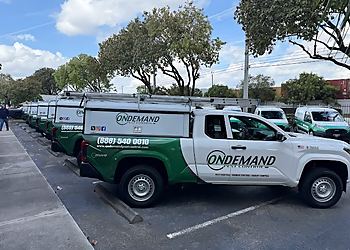 On Demand Pest Control Fort Lauderdale Pest Control Companies image 1
