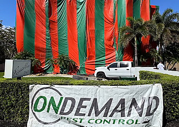 Pembroke Pines Pest Control Companies On Demand Pest Control