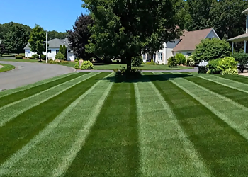 OnDemand Yard Services of Athens - Athens, GA Lawn Care Services - Job Site Image