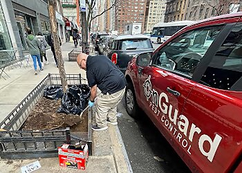 New York Pest Control Companies OnGuard Pest Control