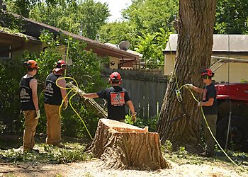 Lincoln Tree Services One Life Tree Service