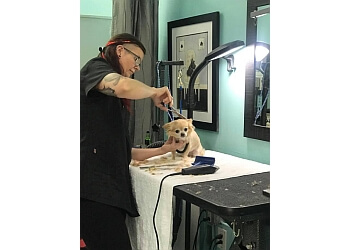 3 Best Pet Grooming in St Petersburg, FL - Expert Recommendations 3 Best Pet Grooming in St Petersburg, FL - Expert Recommendations