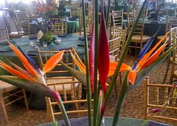 Des Moines Event Rental Companies One Source Event Rentals