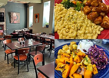 Baltimore Vegetarian Restaurants One World Cafe