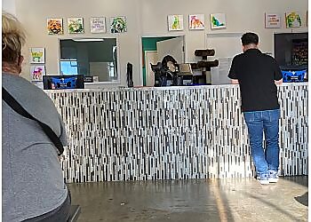 Ontario Veterinary Clinics Ontario Spay and Neuter