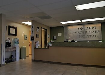 Ontario Veterinary Clinics Ontario Veterinary Hospital
