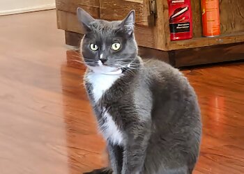 Ontario Veterinary Clinics Ontario Veterinary Hospital