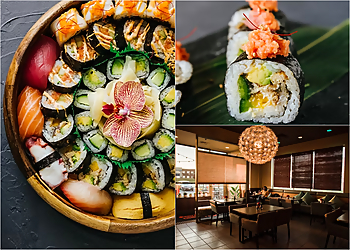 Rochester Sushi Ootori Sushi