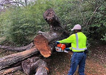 Shreveport Tree Services OpExcellence Tree and Stump Pros