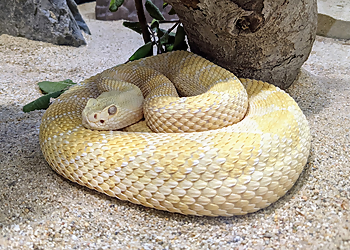 Orange Places To See Orange County Zoo