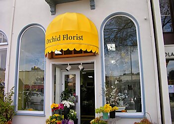 Berkeley Florists Orchid Florist