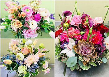 Berkeley Florists Orchid Florist