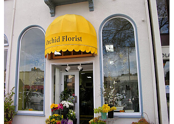 Orchid Florist Berkeley Florists image 1