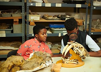 Portland Places To See Oregon Museum of Science and Industry