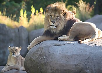 Portland Places To See Oregon Zoo