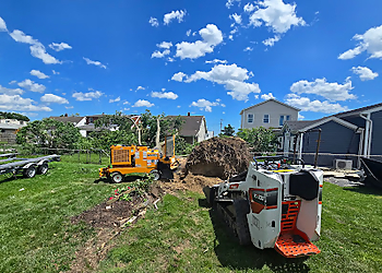 Baltimore Tree Services Orellana Tree Service