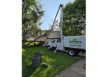 Baltimore Tree Services Orellana Tree Service