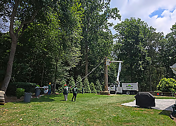 Baltimore Tree Services Orellana Tree Service