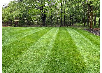 Baltimore Lawn Care Services Organic Lawns