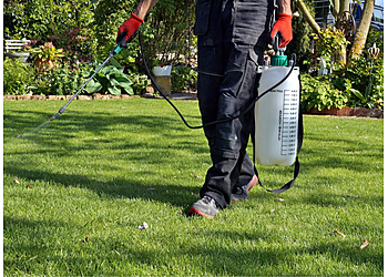 Baltimore Lawn Care Services Organic Lawns
