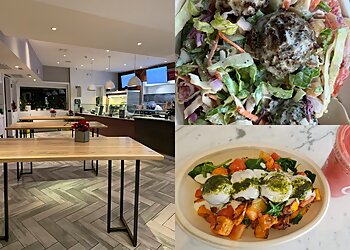 Bridgeport Vegetarian Restaurants Organika Kitchen