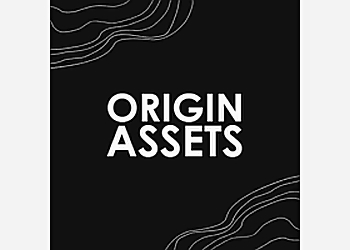 Origin Assets LLC - Elk Grove, CA Web Designers - Company Logo