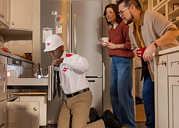 Carrollton Pest Control Companies Orkin