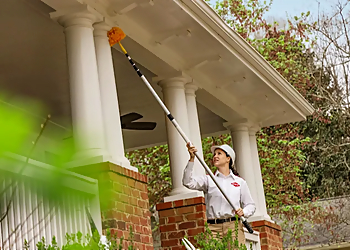 Chesapeake Pest Control Companies Orkin