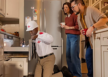 Colorado Springs Pest Control Companies Orkin