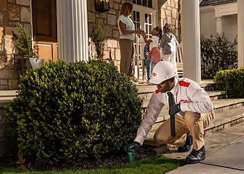 Fort Collins Pest Control Companies Orkin