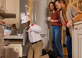 Fort Collins Pest Control Companies Orkin