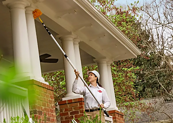 Kent Pest Control Companies Orkin