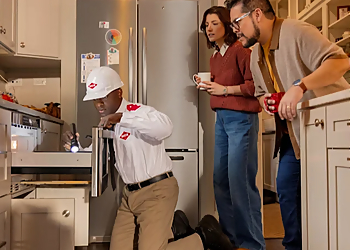 Minneapolis Pest Control Companies Orkin