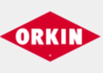 Orkin Abilene  Abilene Pest Control Companies image 1