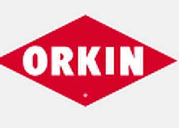 Virginia Beach Pest Control Companies Orkin LLC Virginia Beach