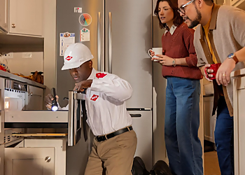 Lexington Pest Control Companies Orkin Lexington