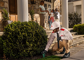 Los Angeles Pest Control Companies Orkin Los Angeles