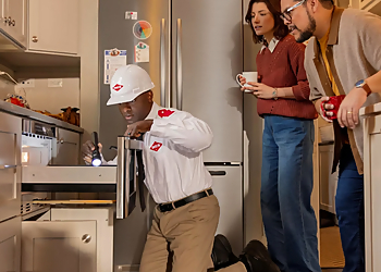Orkin San Dimas - Pasadena, CA Pest Control Companies