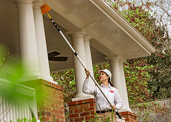 Tampa Pest Control Companies Orkin Tampa