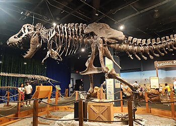 Orlando Places To See Orlando Science Center