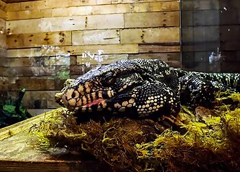 Orlando Places To See Orlando Science Center