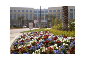 Orozco Landscape and Tree Company - Pomona, CA Landscaping Companies - Service Highlights