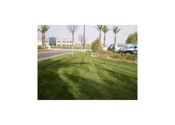 Orozco Landscape and Tree Company - Pomona, CA Landscaping Companies - Job Site Image