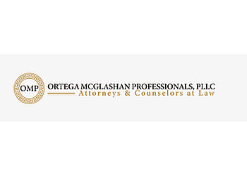 El Paso Civil Litigation Lawyer Ortega Law EPTX