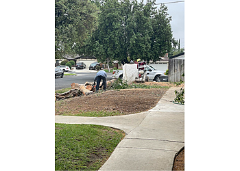 Corona Lawn Care Services Ortega Tree Service & Lawn Maintenance